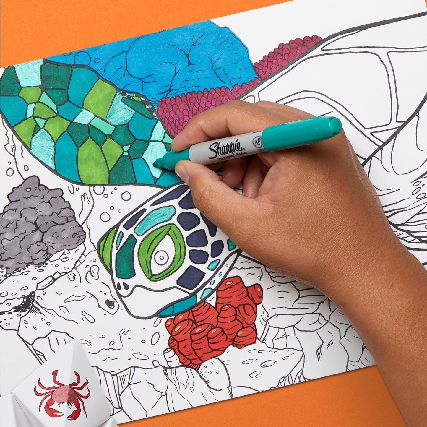 Marker Gift Set - Turtle - 20 Markers