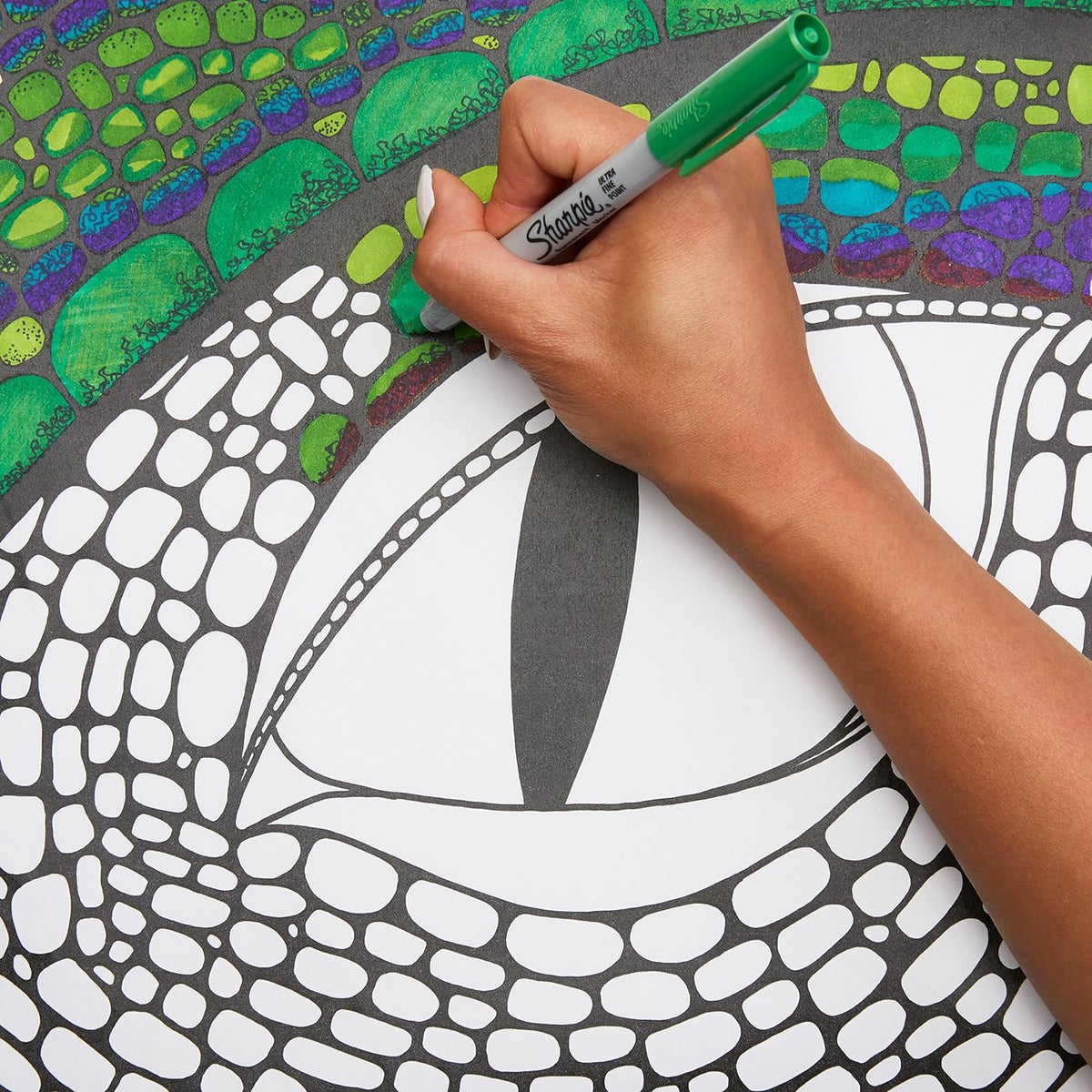 Marker Gift Set - Crocodile - 30 Markers
