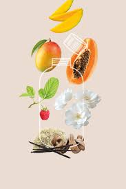 Zumo Del Sol - Perfume Concentrate