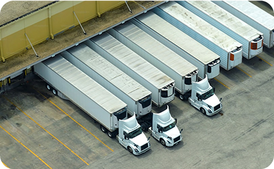 Your Trusted Partner in Brand Representation and Distribution