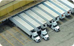 Your Trusted Partner in Brand Representation and Distribution