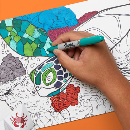 Marker Gift Set - Turtle - 20 Markers